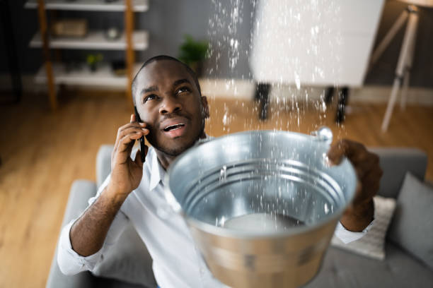 Best Mold removal after water damage  in Lenape Heights, PA