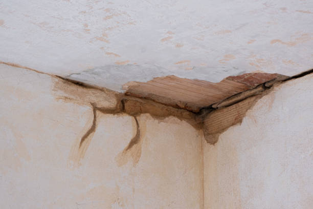 Best Water damage contractors near me  in Lenape Heights, PA
