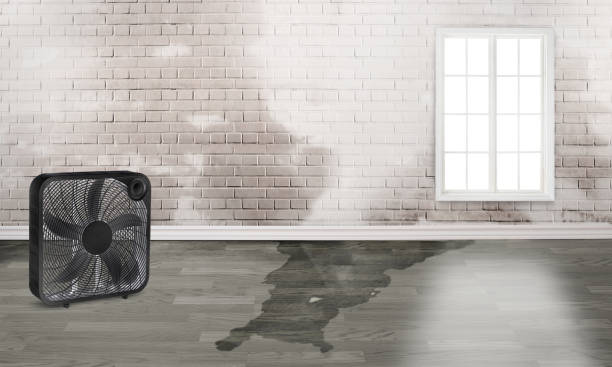 Best Ceiling water damage repair  in Lenape Heights, PA