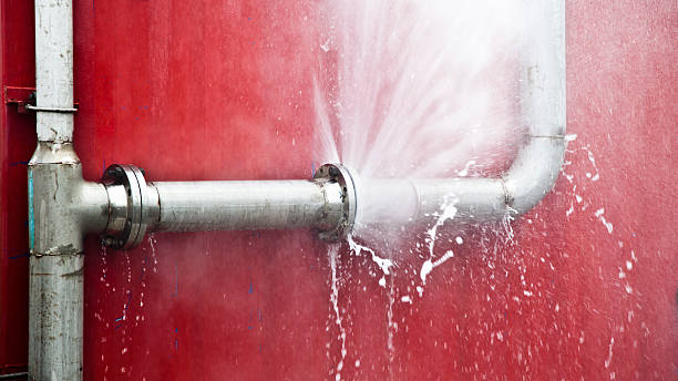 Best Carpet water damage restoration  in Lenape Heights, PA